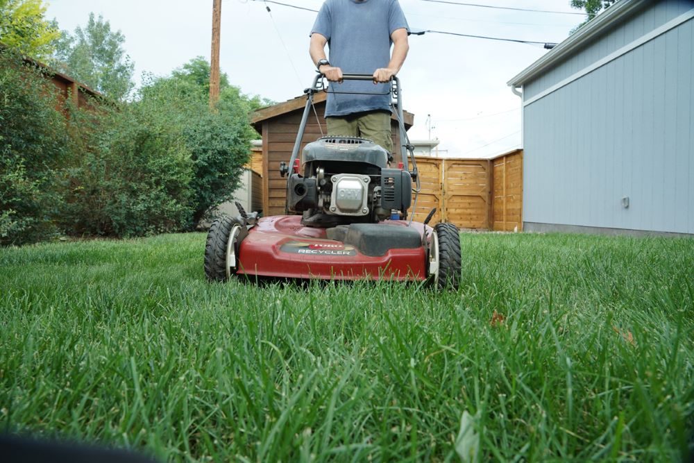 Is your lawn mower at the right height Denver Water